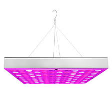 We offer them as replacement bulbs to upgrade your. Cheap Plant Growing Lights Online Plant Growing Lights For 2021