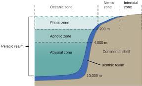 3 4 aquatic biomes environmental biology