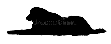 (for licensing or usage, contact licensing@viralhog.com)puppy lgd trainingpygmy harbor farm is in knoxville, tennessee usa. Great Pyrenees Dog Stock Illustration Illustration Of Vector 141099839