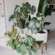 Maybe you would like to learn more about one of these? Mid Century Turned Wood Leg Planters Patterned West Elm Indoor Plant Pots Wood Legs Planter Stand