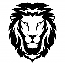Lion Images Free Vectors Stock Photos Psd