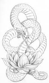 Pin By Zabrina Fuentes On Tattoos Snake Drawing Tattoo Design Drawings Snake Tattoo Design