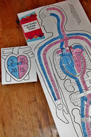 Some Cute Ideas For Kinesthetic Learning Of The Circulatory System Circulatory System Activities Circulatory System Human Body Activities