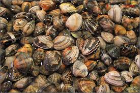 We did not find results for: Catania Pesce
