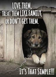 See more of animals rights,quotes & pics on facebook. Pin By Trailady Magazine On Adopt Dogs Urgent Or Foster Dog Quotes Save Animals Animals Matter