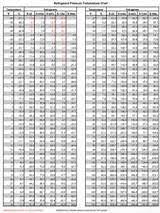 memorable 421a pt chart coffee roasting chart