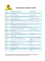 Companion Planting Chart For Crop Edit Fill Sign Online