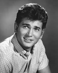97 Michael Landon ideas