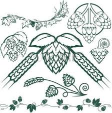 El lupus es una enfermedad compleja. Lupulo Imagenes De Archivo Vectores Lupulo Fotos Libres De Derechos Arte De La Cerveza Logos De Cerveza Cartel De Cerveza