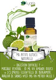 Difficulte A Digerer Ballonnements L Huile Essentielle De Bergamote Permet De Fluidifier L Huile Essentielle Bergamote Huiles Essentielles Remedes Naturels