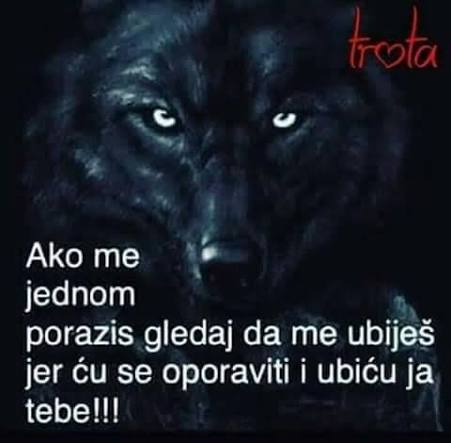 images?q=tbn:ANd9GcT4xm7EiMZRUE36P12MACt