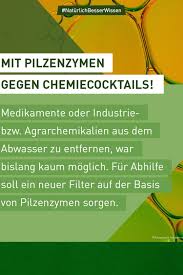 Mit Pilzenzymen Gegen Chemiecocktails In 2020 Pilze Chemie Medikamente