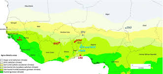 Home improvement in anápolis, brazil. Adaptive Admixture In The West African Bovine Hybrid Zone Insight From The Borgou Population Flori 2014 Molecular Ecology Wiley Online Library