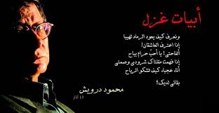 شعر غزل فاحش في وصف جسد المرأة. M Baltics Media