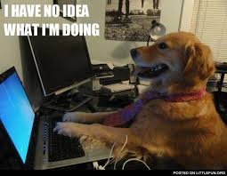 I Have No Idea What I M Doing Dog With Laptop Funny Dog Memes Cute Dog Memes Dog Memes