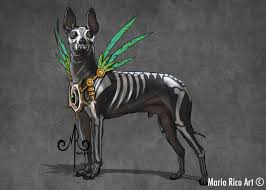 Basic Cable Knit Sweater Aztec Art Art Mexican Art