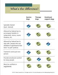 Faith The Migraine Alert Service Dog Some Important Service Dog Therapy Dog And Esa Service Dogs Psychiatric Service Dog Emotional Support Dog