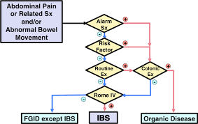 Evidence Based Clinical Practice Guidelines For Irritable Bowel Syndrome 2020 Springerlink
