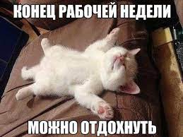 Мемы с кошками - подборка лучших