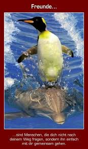 Pin By Eleni Lagkadinou On Freunde Penguins Animals Animal Planet