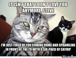It Isn T That I Don T Love You Anymore Steve By Redpooka Meme Center