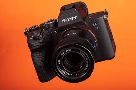 But there's more to cats' grooming than cleaning their coats. Sony A7s Iii Review Digital Photography Review