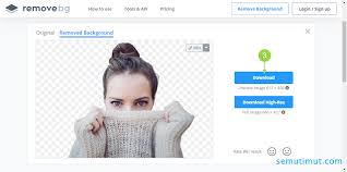 Sampai di sini kalian sudah memiliki gambar tanda tangan yang. Cara Menghilangkan Background Foto Online Tanpa Aplikasi Semutimut Tutorial Hp Dan Komputer Terbaik