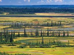 Jun 22, 2021 · saving wood buffalo national park provides many opportunities for canada to show it is a champion for the environment and reconciliation in a tangible way. Canada S Largest National Park Risks Losing World Heritage Status Canada The Guardian