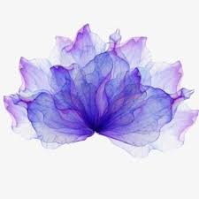Colorful Purple Shading Background Mandala Aquarela Fundo De Aquarela Molduras Para Convites De Casamento