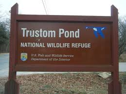 In 1987, 365 acres (148 ha) van de grond werden gedoneerd aan. The Hiking Trail Hiding In Rhode Island That S Truly One Of A Kind Rhode Island History Rhode Island Travel Hiking Places