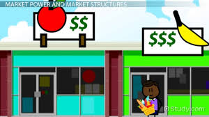 Market Power In Economics Definition Sources Examples Video Lesson Transcript Study Com