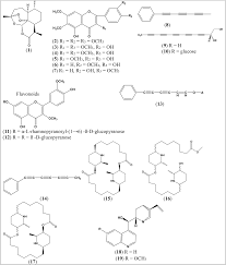 Image result for Porphyrostemma chevalieri