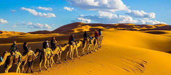 Sounds perfect wahhhh, i don't wanna. Marrakech Tours Day Trips Morocco Desert Tours Camel Treks