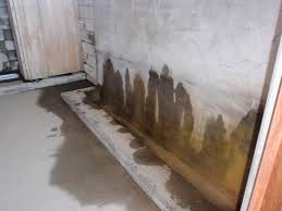 肩の小屋横の公衆トイレの小便器。壁に顔がいくつも見える。昔はこんな丸見えトイレあったわー。なつかしい。 - 乗鞍岳（すずらん橋） - Yamakei  Online / 山と溪谷社