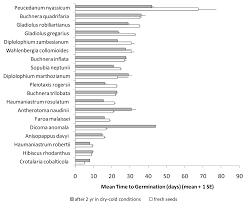Image result for Diplolophium