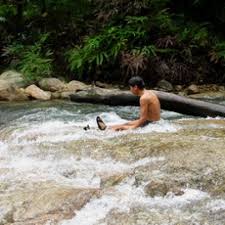 I has a stream that runs the entire length that has quite a few waterfalls surrounded by jungle and many many monkeys who have. Sungai Chilling Waterfall Kuala Lumpur Endemicguides