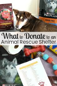 What To Donate To An Animal Rescue Shelter Organized 31 Animal Shelter Donations Animal Rescue Animal Shelter