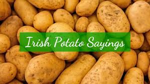 People in public speaking could well take his advice. Irish Potato Sayings