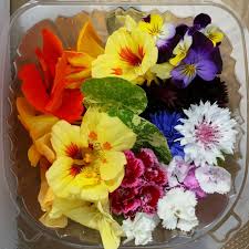 To purchase from us you will need to provide a valid government issued photo id proving you are 18+ in alberta & quebec or 19+ in bc, saskatchewan, manitoba, ontario, new brunswick, nova scotia, prince edward island, newfoundland, yukon territory & northwest territories. Early Spring Edible Flower Selection For The Farmers Market Viola Nasturtium Cornflower Dianthus Flower Photos Edible Flowers Nasturtium