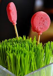 Eleven Madison Park New York City Bbq Ideas Food Beet And Goat Cheese Fundraiser Dinner