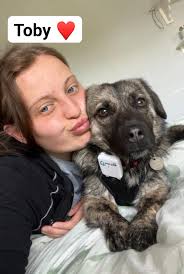 Thank you for sharing in helping this sweet fella find a new home