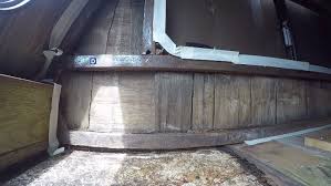 Spray the damaged area with a mixture of 1 part bleach to 2 parts water in a spray bottle. How To Repair Travel Trailer Walls Rv Wall Repair Diy