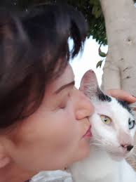 Lost cat named Hercules in Helena?