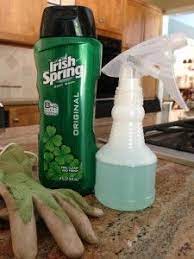 Essential oils are very powerful, and they blend well with other ingredients to make potent sprays that have a lingering odor. Extravagant Gardens Deer Repellant Deer Resistant Garden Deer Resistant Landscaping
