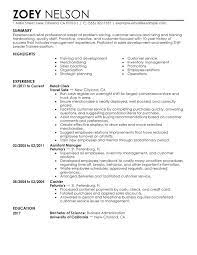 Team leader cv uk team leader performance objectives team leader resume cover letter team leader resume sample pdf technical team lead resume. Unforgettable Team Lead Resume Examples To Stand Out Myperfectresume Leadership Examples For Resume Babysitter Resume Good Resume Examples Resume Examples