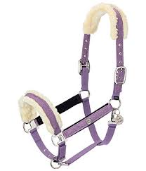 Epingle Par Virginia Baxter Sur Tack Equitation Western Cheval Sport Equestre