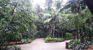 The name came from the fact that at that. Smart Travel Travel Guide Application