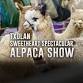 TXOLAN Sweetheart Spectacular & Bluebonnet Stakes Alpaca Show