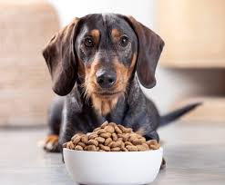 Looking for fresh pet dog food? United Petfood World Wide Producer Of Quality Cat And Dog Food