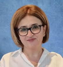 שירות האומנה של מכון סאמיט